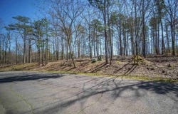 75 Cifuentes Way, Hot Springs Village, AR 71909