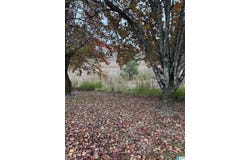4 SPRING COVE ROAD lot: 4, WARRIOR, AL 35180