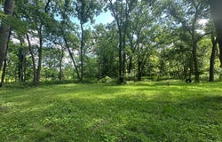 Ivy Trail, Winterset, IA 50273