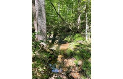 LOT9 GREYSTONE DR, Wirtz, VA 24184