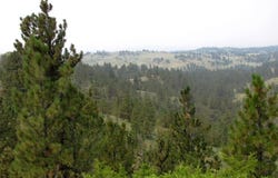 Lone Rock Canyon Lane unit: Sc-25, Hysham, MT 59076