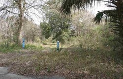 E Essex Road, Hastings, FL 32145