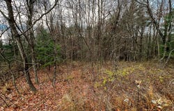 Lot 115 Old Hollow Trail, Fancy Gap, VA 24328