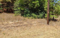 Tbd Tall Forest DR, Bastrop, TX 78602