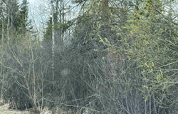 US 2 Highway, Escanaba, MI 49829