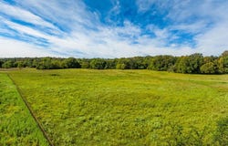 Tbd Red Hill Road, Mount Vernon, AR 72111