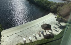 1000 Scotia 105 Drive, Hypoluxo, FL 33462