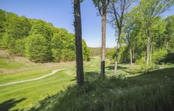 5670 Shanty Creek Road, Bellaire, MI 49615