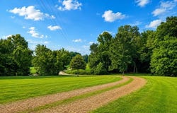 8539 CAMPGROUND Rd, Drummonds, TN 38023