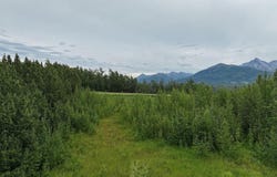 2600 N Palmer Fishhook Road, Palmer, AK 99645