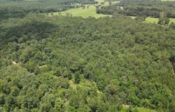 881 Driftwood Drive, Pineville, AR 72566