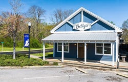 173 Driftwood Ln, Lincoln, AL 35096