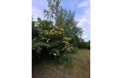 11856 W Snyder Road, Westville, IN 46391