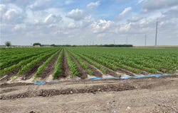 N Frontera Road N, Progreso, TX 78579