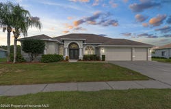 13480 Twinberry Drive, Spring Hill, FL 34609