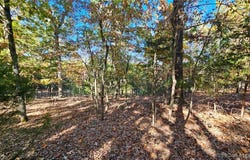 Lot #1387 Via Bella Vista Court, Sunrise Beach, MO 65079
