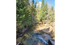 46.6 Acres +/- Vacant Land US-131, Boyne Falls, MI 49713