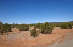 1 Camino Del Sol Road, Bernal, NM 87569
