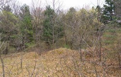 Bond Street, Harrison, MI 48625