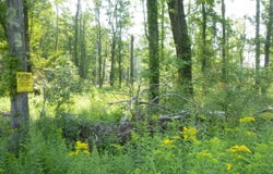 Tr 401 Swoyer Road, Jefferson Township, PA 18436