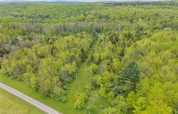 0 Blackman Hill Road, Caroline, NY 13736
