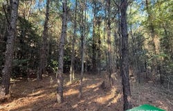 0 Airline Road, Dubach, LA 71235