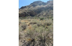 Carp Road, Caliente, NV 89008
