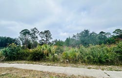 709 Ryan Dr, Carrabelle, FL 32322