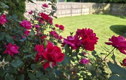 104 Eldorado Dr., Moscow Mills, MO 63362