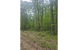 6622 E Spruce Road, Fountain, MI 49410