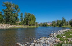 504 N Hwy 93, Carmen, ID 83462