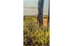 158.2 Acres Along County Road 281, Robertson, WY 82944