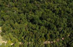 Lots 13, 14 and 15 Murphy Drive, Bella Vista, AR 72715