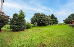 300 Webster St, Muscle Shoals, AL 35661
