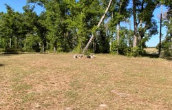 Live Oak, FL 32060