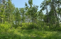 Tbd County Road T, Dairyland, WI 54830