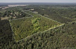 35.8 ac Pearces Rd, Brooklyn, MS 39425