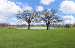 7701 Black Elk Court, Burleson, TX 76028