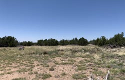 37925 W RAPTOR Road, Seligman, AZ 86337