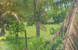 0 SW Fox Brown Road, Indiantown, FL 34956