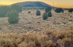 Tbd CR 5106, Concho, AZ 85924