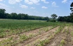 00 Elk Head Road, Bland, MO 65014