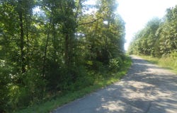 Chesapeake Drive, Cherokee Village, AR 72529