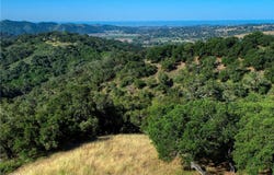 750 Avenida Alcola, Arroyo Grande, CA 93420