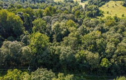 14 LION TRAIL, FAIRFIELD, PA 17320