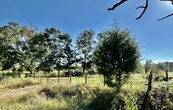 Lot 1 Jones Road, Hurdle Mills, NC 27541