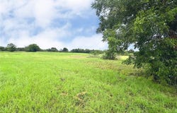 Lot 131 Lake Vista Drive, Streetman, TX 75859