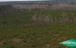 0 Old Snipe Road, Kelleys, LA 71227