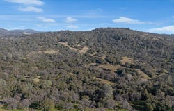 Old Wards Ferry, Sonora, CA 95370