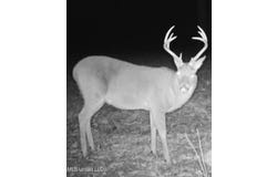 Smiley Honea Road, Magnolia, MS 39652